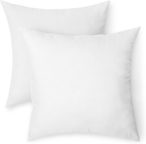 2-Pack Down Alternative Throw Pillow Inserts